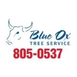 Tree Removal Lincoln NE