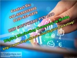 Initial stage of Digital Marketing Company in Noida