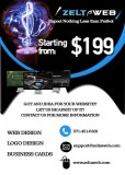 ZeltaWeb Web Design Flyer Business Cards Logo SignageVideo