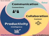 Company Intranet Software