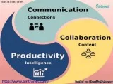 Company Intranet Software