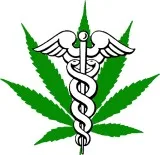 Dispensary Workers Budtenders And Trimmers