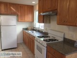 newly remolded apartment rent