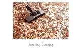 San Antonio Carpet Cleaning  juststeamitcleaners. com