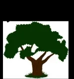 Bratt Tree Company