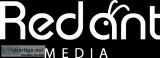IT Development service company in Chennai