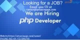 PHP WordPress Developer