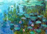 Folsom Studio 62 Monet s Waterlilies