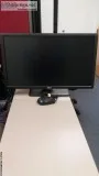 Dell Monitor and Mouse