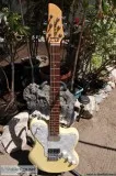 Fernandes Native Pro Electric Guitar