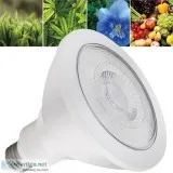 Best LED Grow Light for Indoor Plants