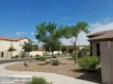 Tree Removal and Trimming Services