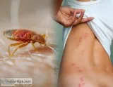 Mosquitor Control and Pest Mgmt and Lawn Service