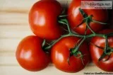 Best Food License Provider Firm in India