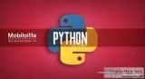 Python Development Company