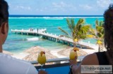 Search For The Top All-Inclusive Vacation Packages At The Leadin