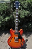 Harmonia Semi Hollow Body Electric Guitar
