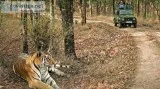Adventure and Wildlife Tours