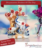 Buy Feng Shui Trunk Up Elephant and Baby with Money Ingot