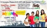 15% fee Discounts E-Accounts Finance and E-GST with Income Tax T