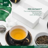 Organic Green Tea Manufacturers in India