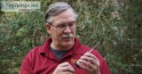 Tree doctor Houston