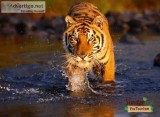 Sundarban Tour Package for 3 Days 2 Nights From Kolkata  Sundarb