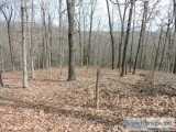 RAVENDEN SPRINGS 175