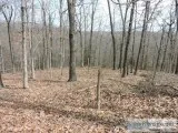 RAVENDEN SPRINGS 175