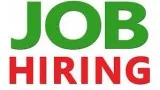 Required Female Excel Backend Excutive sec-9 in chandigarh