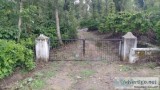 16 Acres of well maintained Coffee Estate for sale in Sakaleshpu