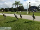 Furnished 1bedroom Weekly
