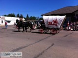 Horse drawn covered wagon