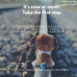 It&rsquos Now or Never - Nurse Aide Classes