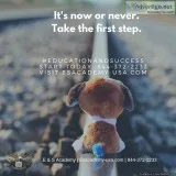 It&rsquos Now or Never - Nurse Aide Classes