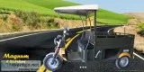 Electric E Rickshaw Manufacturers in India
