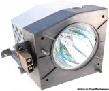 Toshiba D95-LMP 130 Phoenix Round Bulb
