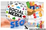 digital Marketing  Executive