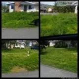 Dependable Lawn Service