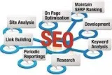 Fastidious Technologies SEO Service Best SEO Company