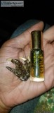 Magical Herb Goddess