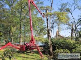 Tree service and stump grinding