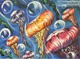 Sacramento Studio 622 Jellyfish Dance