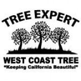 Are you ready for fire season Let us help 25 years - Local Tree 