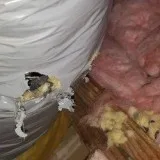 Need Mold Removal in Beverly Hills