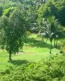 Call Us today CHEAP LANDSCAPING Reliable and Experienced ((Tucso