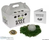 A Fun gift for everybody. Pet Rocks are back 