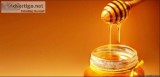 Honey Suppliers in USA  Leohoney.com