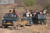 Wildlife Safari by Wildrift Adventures