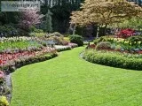Convert Your Terrace or Empty Space into Healthy and Wealthy Gar